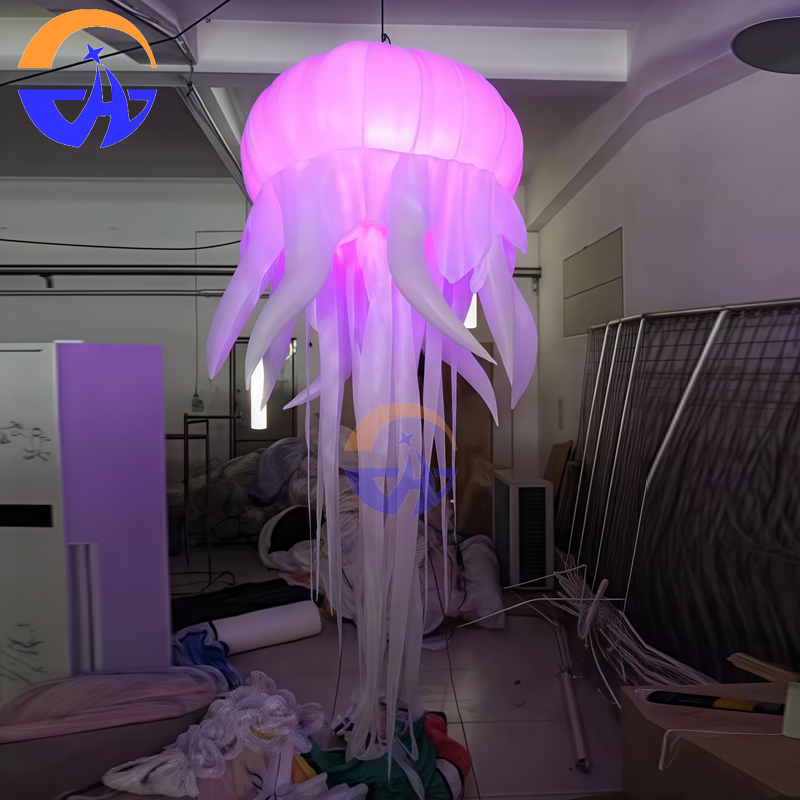 Giant LED Glowing Inflatable J - Led Balloon Light reseña y precio