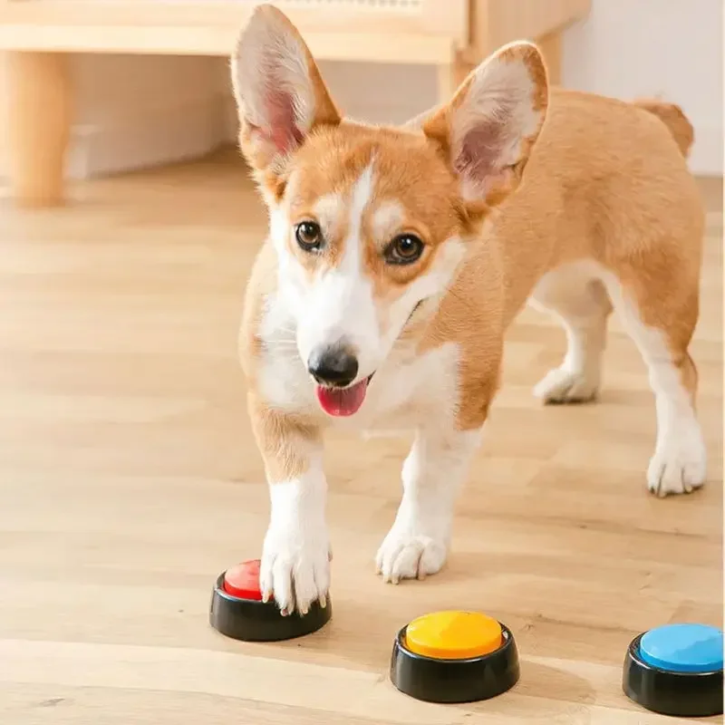 2026 Recordable Talking Pet Bu - Event Party Box reseña y precio