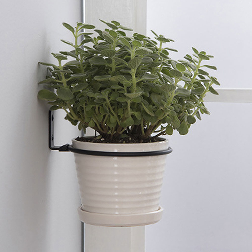 Flower Pot Trays Wall Mounted  - Flower Wall Panel reseña y precio